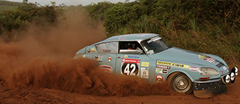 Safari-Rally